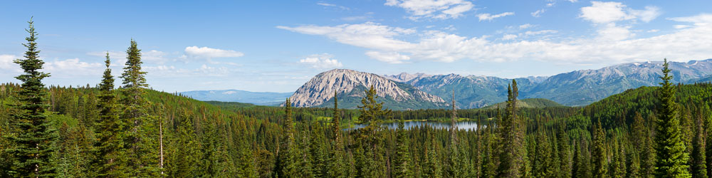 MT-20090720-095302-0037-Pano3-Colorado-Lost-Lake-Slough-West-Elk-Mountains-pines.jpg