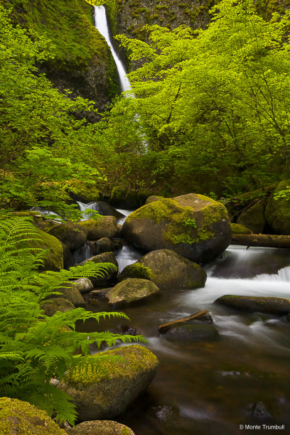 MT-20070509-083410-0066-Oregon-Columbia-Gorge-Ponytail-Falls.jpg