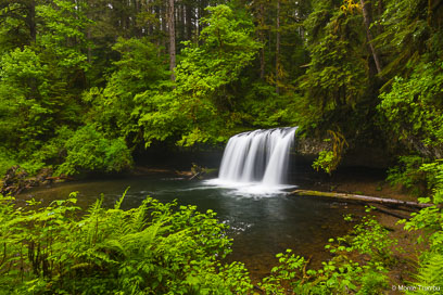 MT-20130522-163258-0032-Upper-Butte-Creek-Falls-Santiam-State-Forest-Oregon-spring.jpg