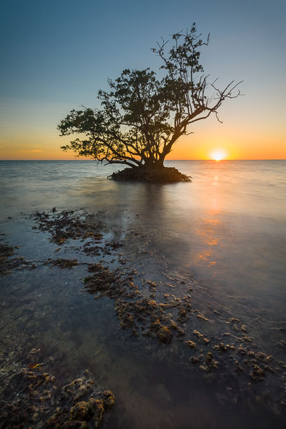 MT-20130221-182015-0067-mangrove-sunset-everglades.jpg